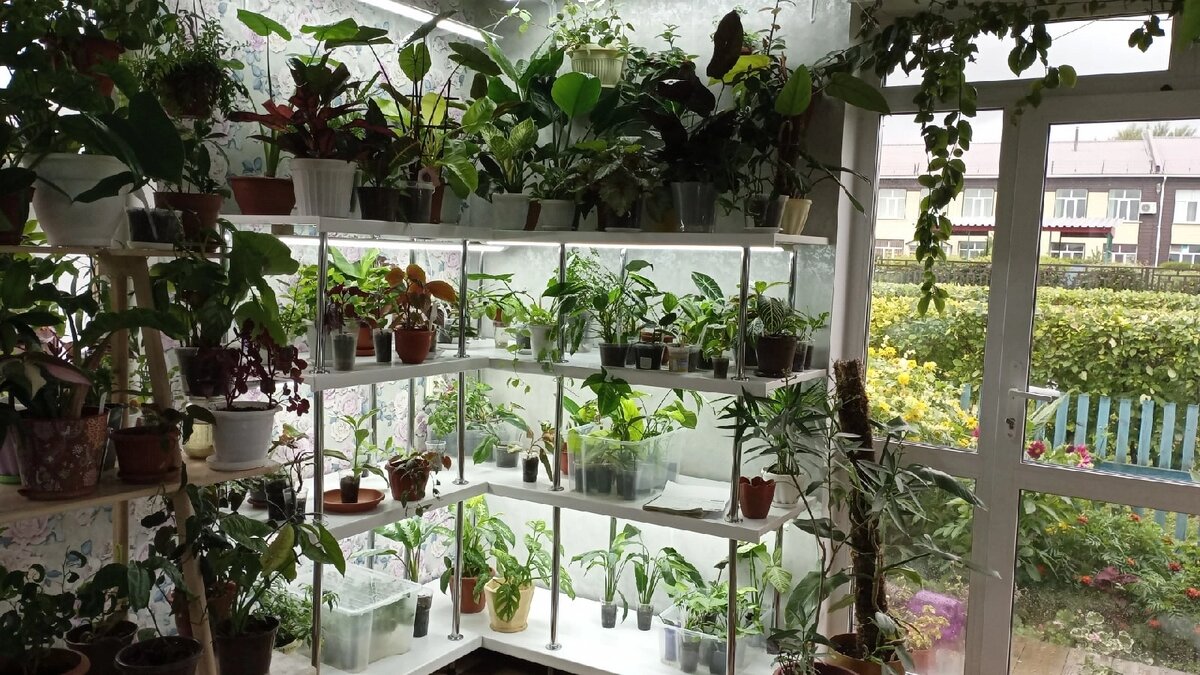 В естественной среде обитания растения поглощают столько солнечной энергии, сколько им нужно. В домашних условиях света всегда меньше, особенно в зимний период, когда дополнительное освещение необходимо практически всем цветам. Разбираемся, каким должно быть освещение для цветов, и какие осветительные приборы лучше использовать.