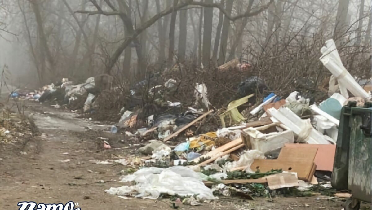     В Ростове жители поделились кадрами гор мусора, которыми засыпало улицу Днепропетровскую, фотографии появились в соцсетях.