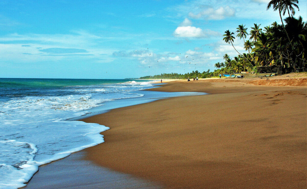    Шри-Ланку в 2022 году посетили более 90 тысяч россиян