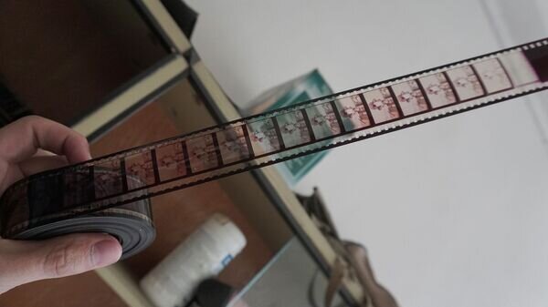   © Sputnik / Анна Кабисова