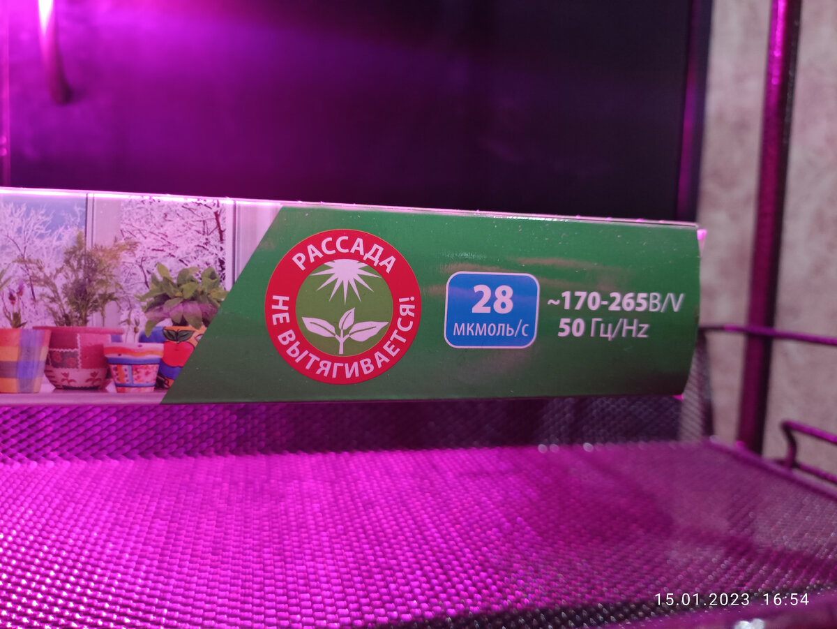 Вот на упаковку посмотрела и сразу представилась шикарная рассада, надо брать 😁