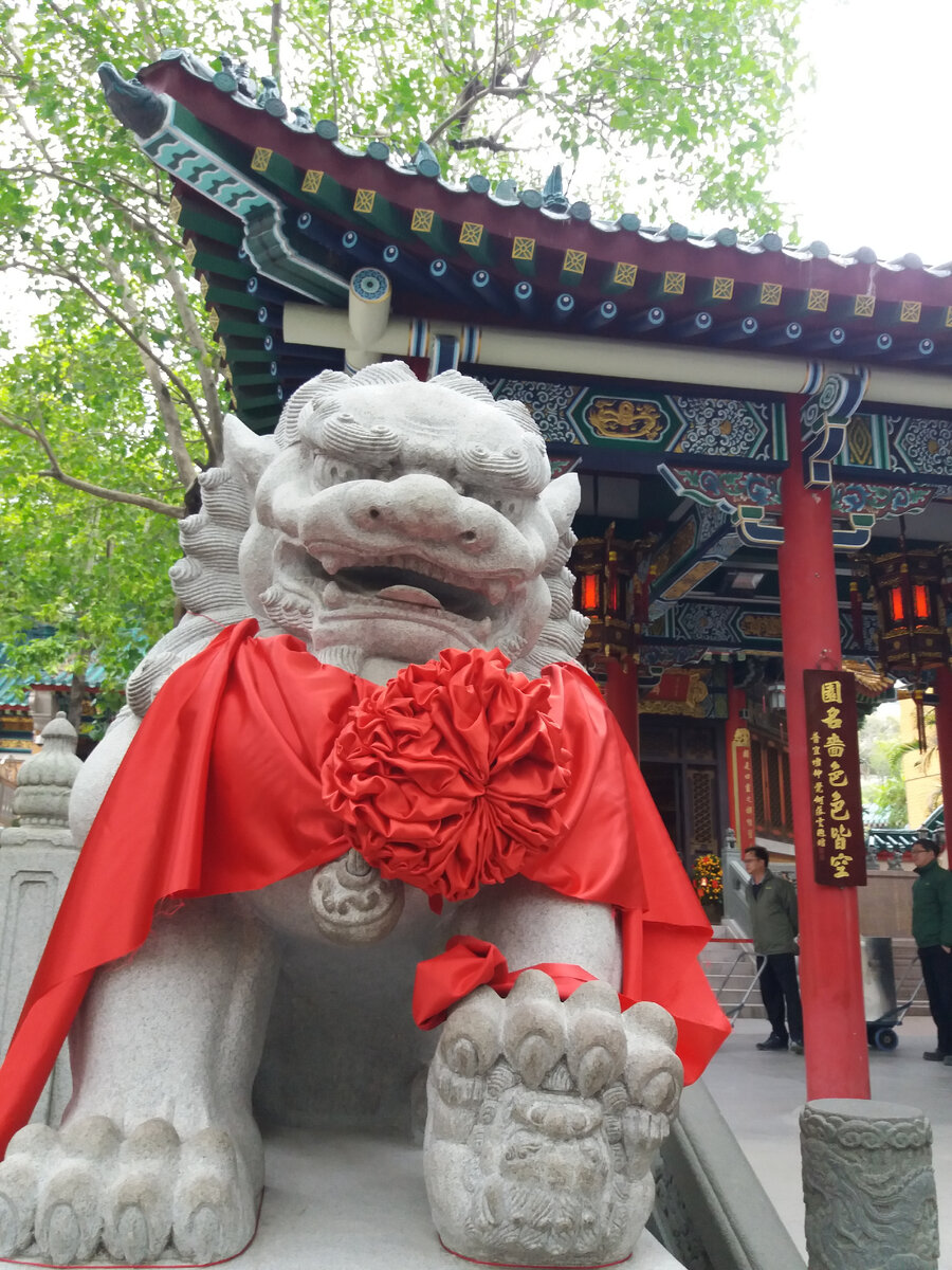 Все фото\видео мои. Гонконг