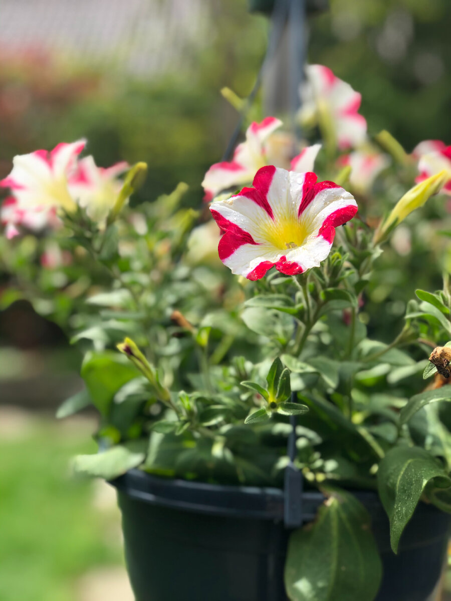 Фото с сайта Pexels.com