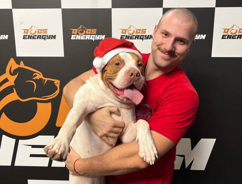 Спортзал для собак DOGSENERGYM