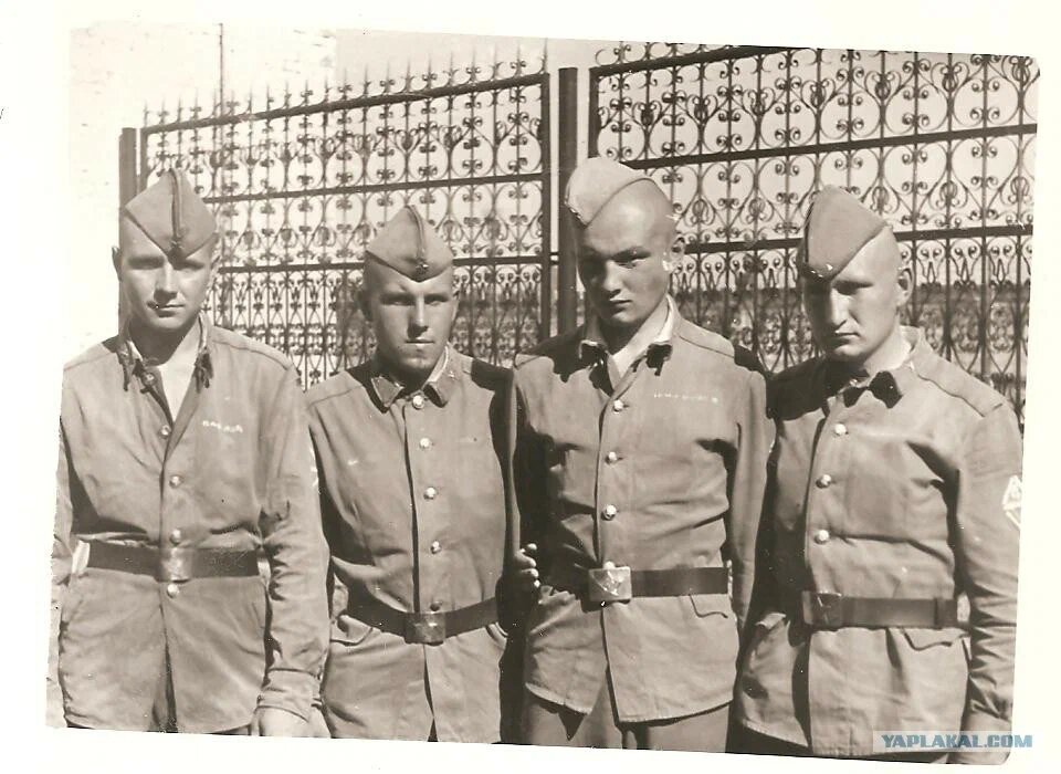 Дисбат на острове русский в 1980 1983г