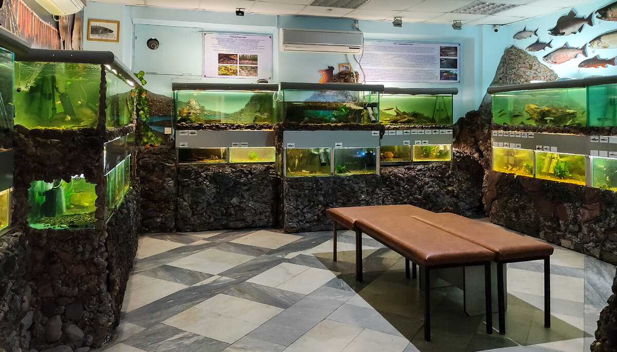 Читаю названия на карте края: "Орель, Чля, Кизи, Удыль... " и слышу возглас подруги: "Это названия или эмоции?"