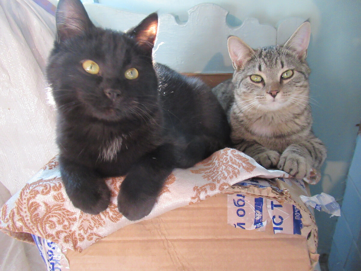 Мы надеемся, мы ждём!