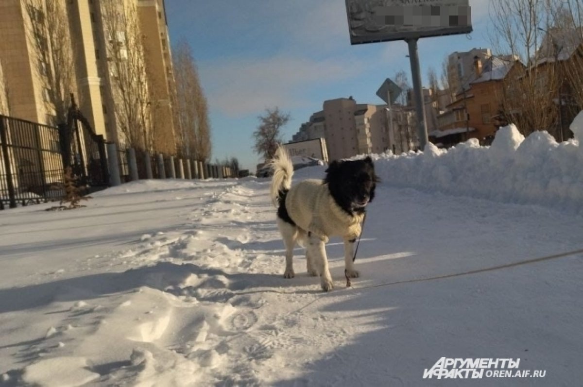    В Оренбургской области сохраняется влияние атмосферного фронта.
