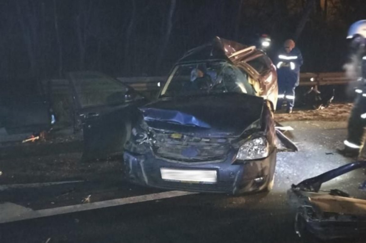    На трассе «Курск-Воронеж» Lada влетела в КамАЗ: погибли 2 человека