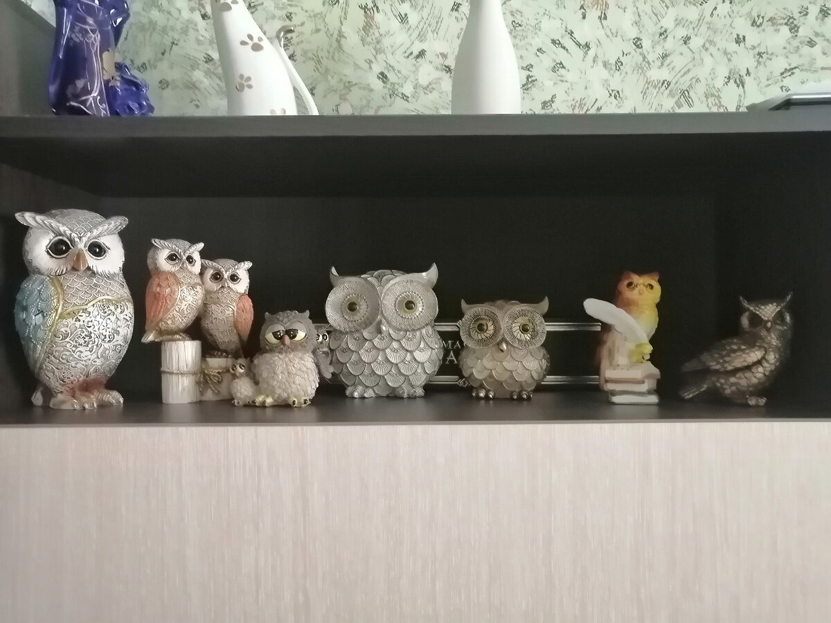 На этой полке стоят крупные совы