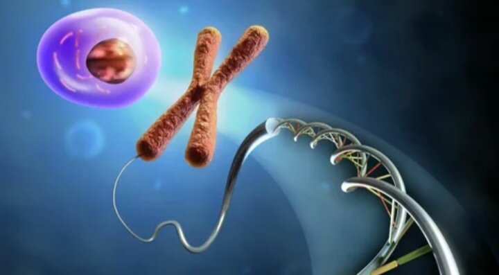 Иллюстрация из интернета в свободном доступе