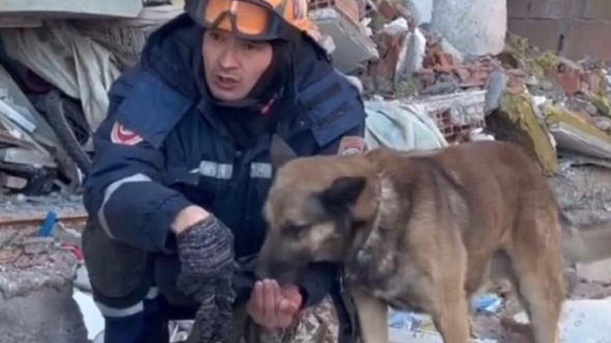    Собака пьет воду из рук мужчины:instagram.com/tjm_mchs