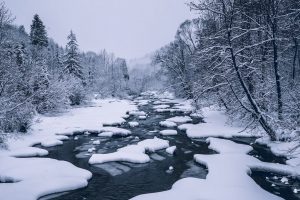    Фото: unsplash.com Ирина Моргунова