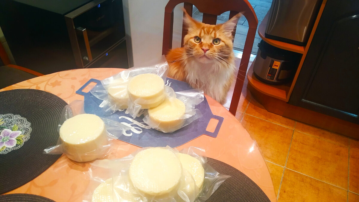 Мейн кун Степа.