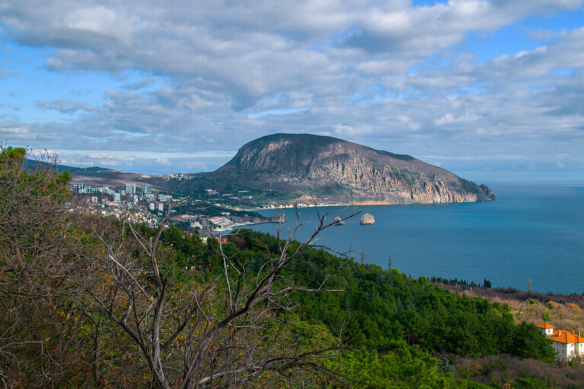 Медведь гора крыма сканворд. Гора Аю-Даг медведь-гора. Гора Аю Даг Партенит. Гора в Коктебеле медведь. Гора медведь в Крыму Легенда.