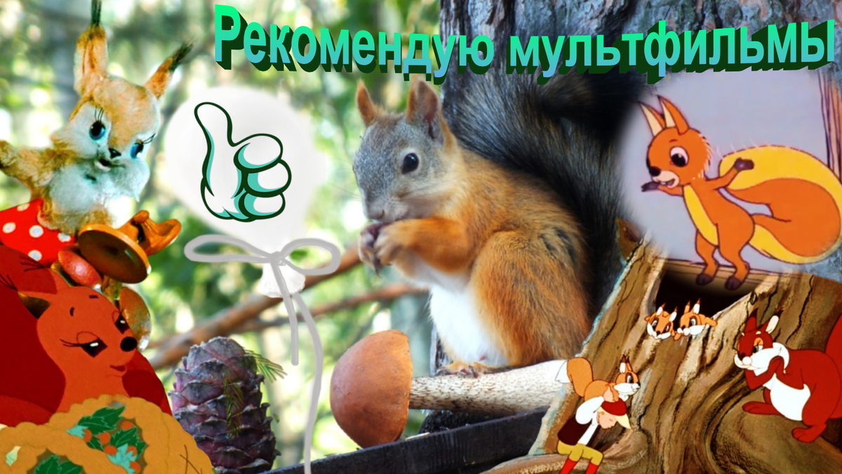 Белка Сибирская рекомендует мультфильмы👍 Выпуск 2 | Белка Сибирская | Дзен