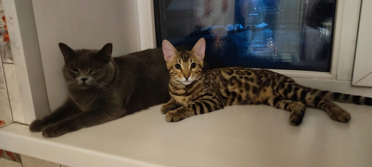 Фото из личного архива