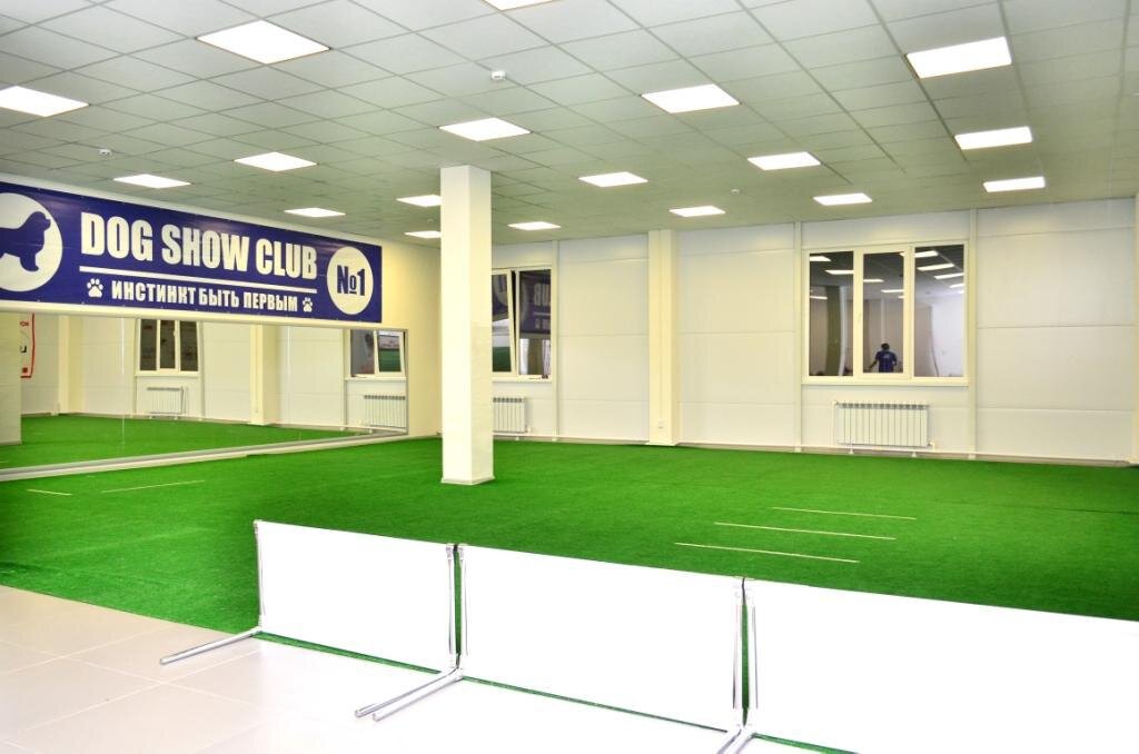 Заказываем покрытие, зеркала во всю стену, светящий короб и многое другое. Работать начали, даже не закончив стелить покрытие на пол и расставлять все необходимое оборудование. Желание объединиться меня никогда не покидало и не покидает по сей день. Трудности, сложности были, но мы с ними справлялись. Шли вперёд и развивались. В начале, после открытия зала, столкнулись с тем, что основная масса людей, в то время, считала, что с собаками заниматься не нужно, и их место на цепи. 