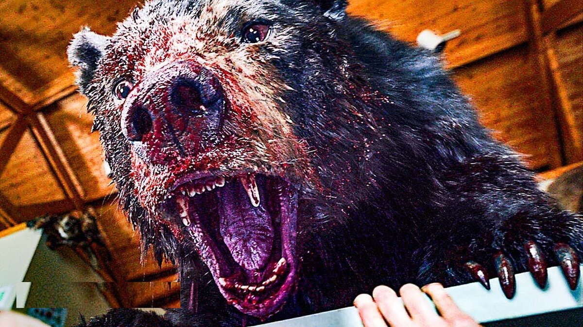 "Кокаиновый медведь": обдолбанный ведмед рвёт всех в клочья