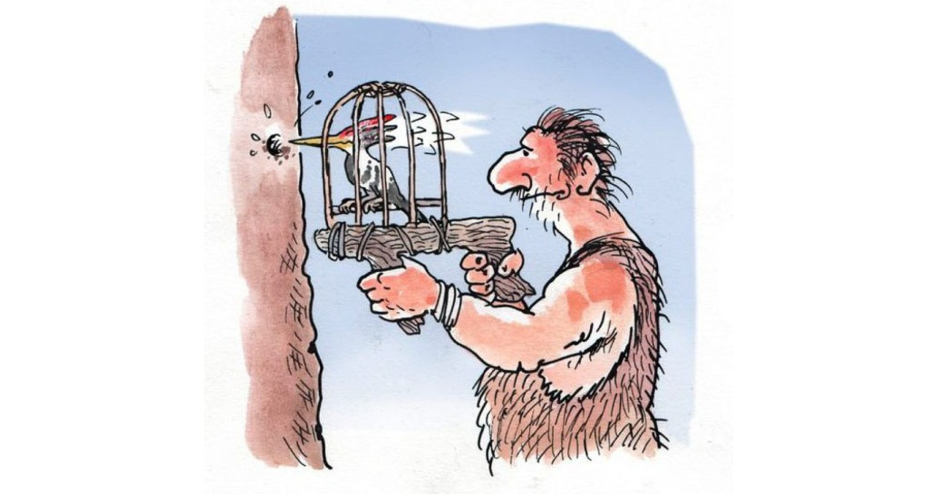 яндекс картинки