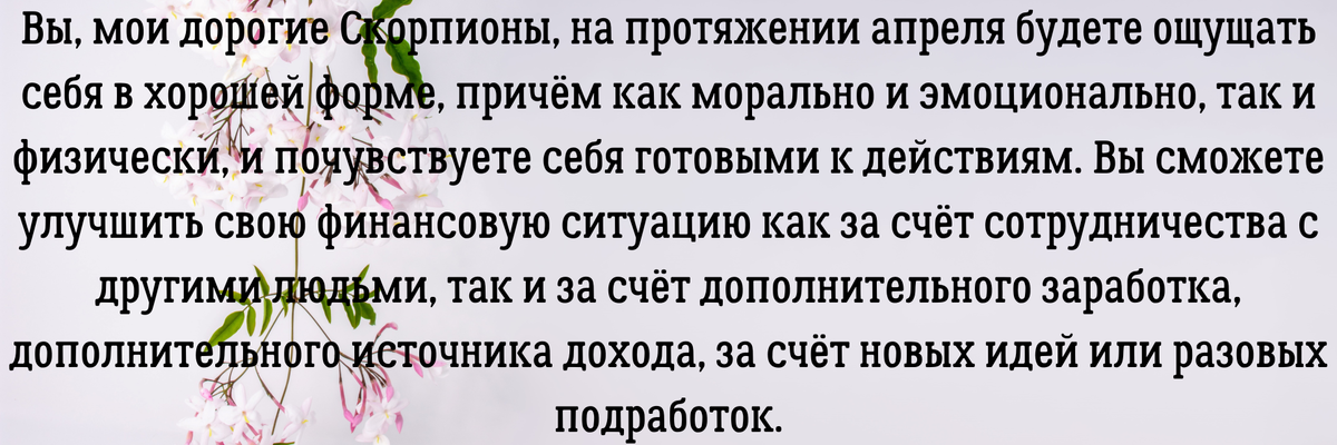 Советник Нострадамус — скажем твердое «Нет!!» бедности в рядах трейдеров