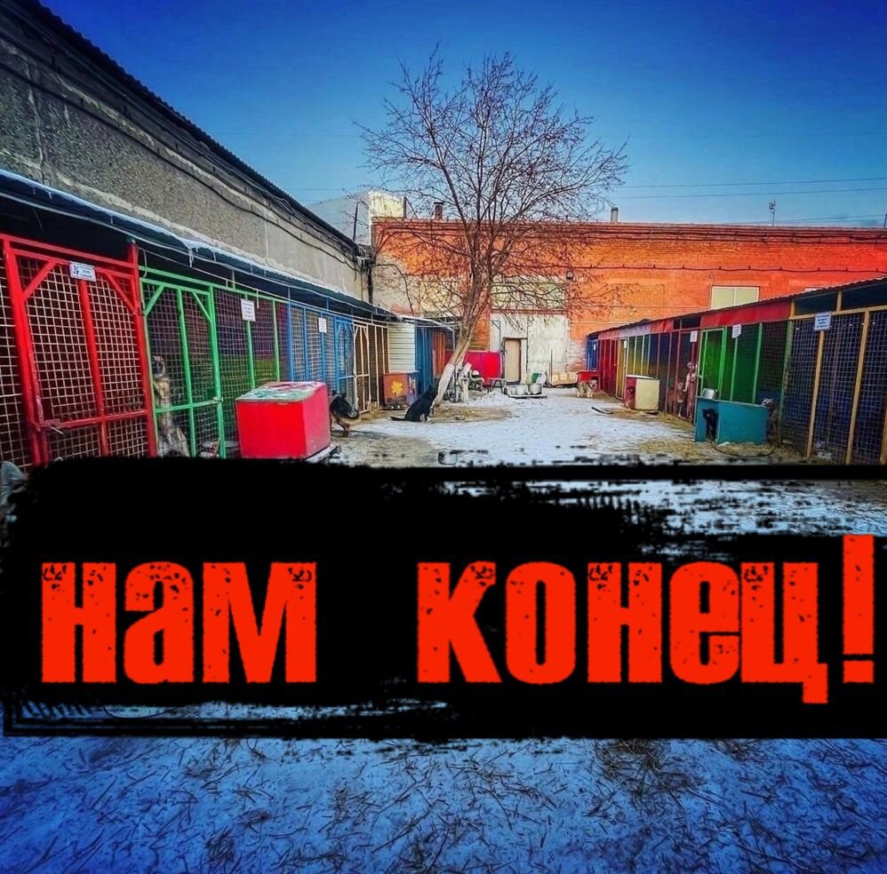 Приюту нужна ваша помощь...