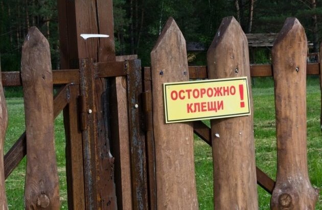Источник: sibnet.ru