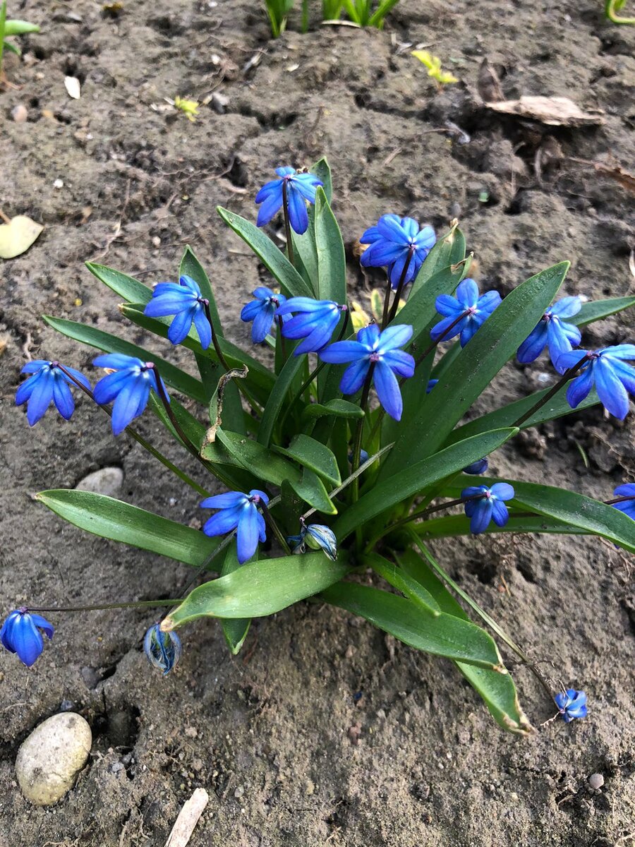 личное фото