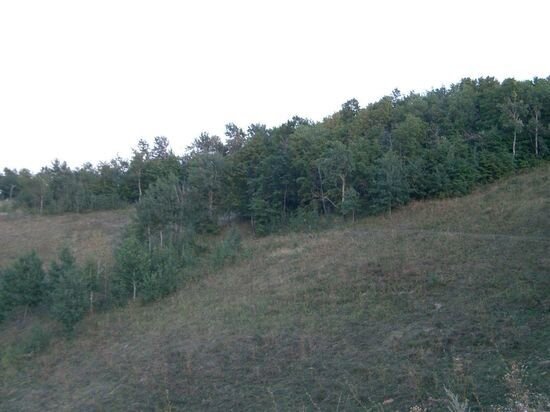     Кумысная поляна. Фото: saratov.mk.ru "МК в Саратове"