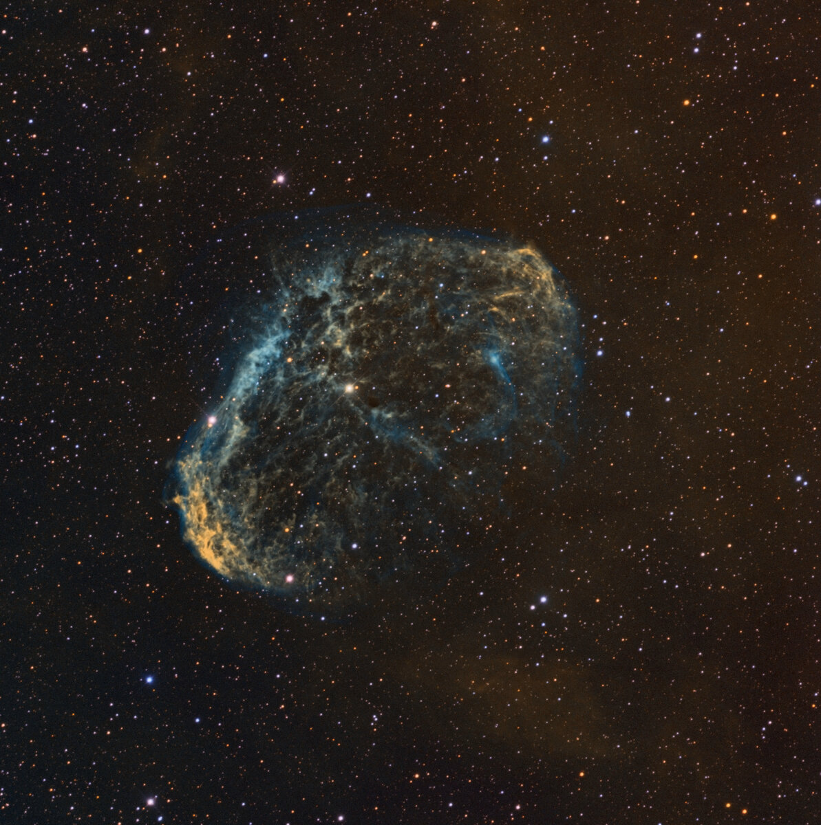 Туманность «Полумесяц» NGC6888 в созвездии Лебедь. Автор фото – научный сотрудник Малой обсерватории Московского Планетария, астроном Никита Шаморгин. Фотография сделана в искусственных цветах (фильтры SII, Hα и OIII).
