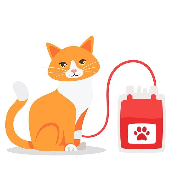 Взято с сайта natalyland.ru