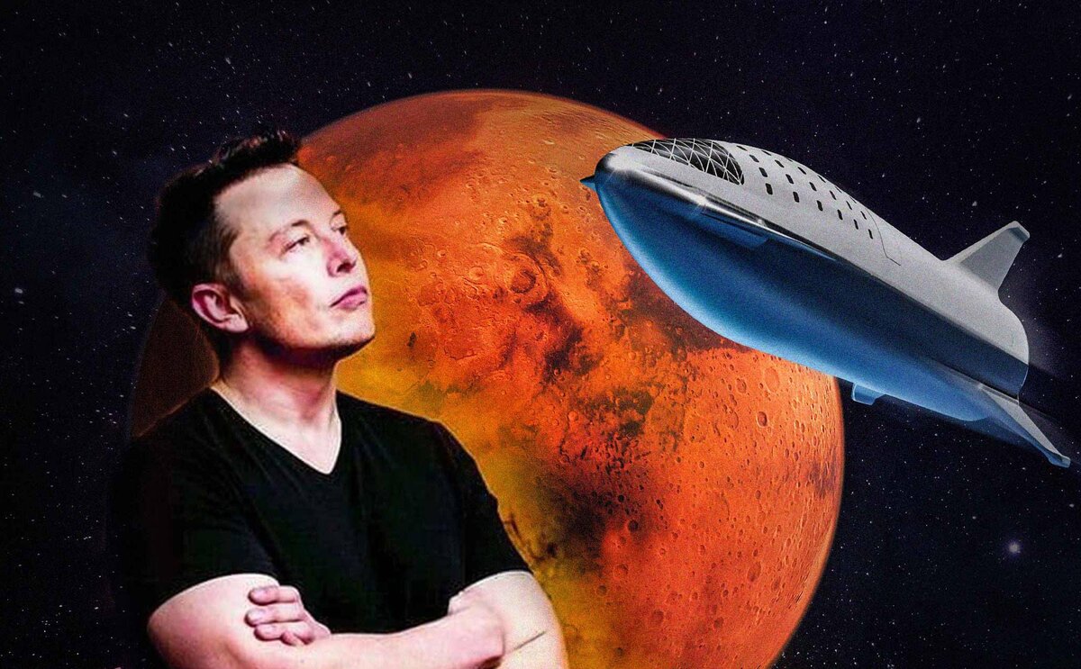 Elon musk steam фото 94
