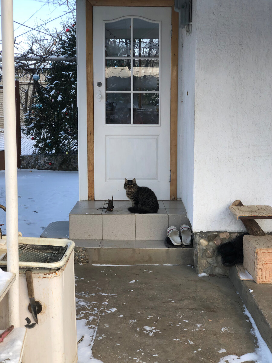 Фото с прошлой зимы.