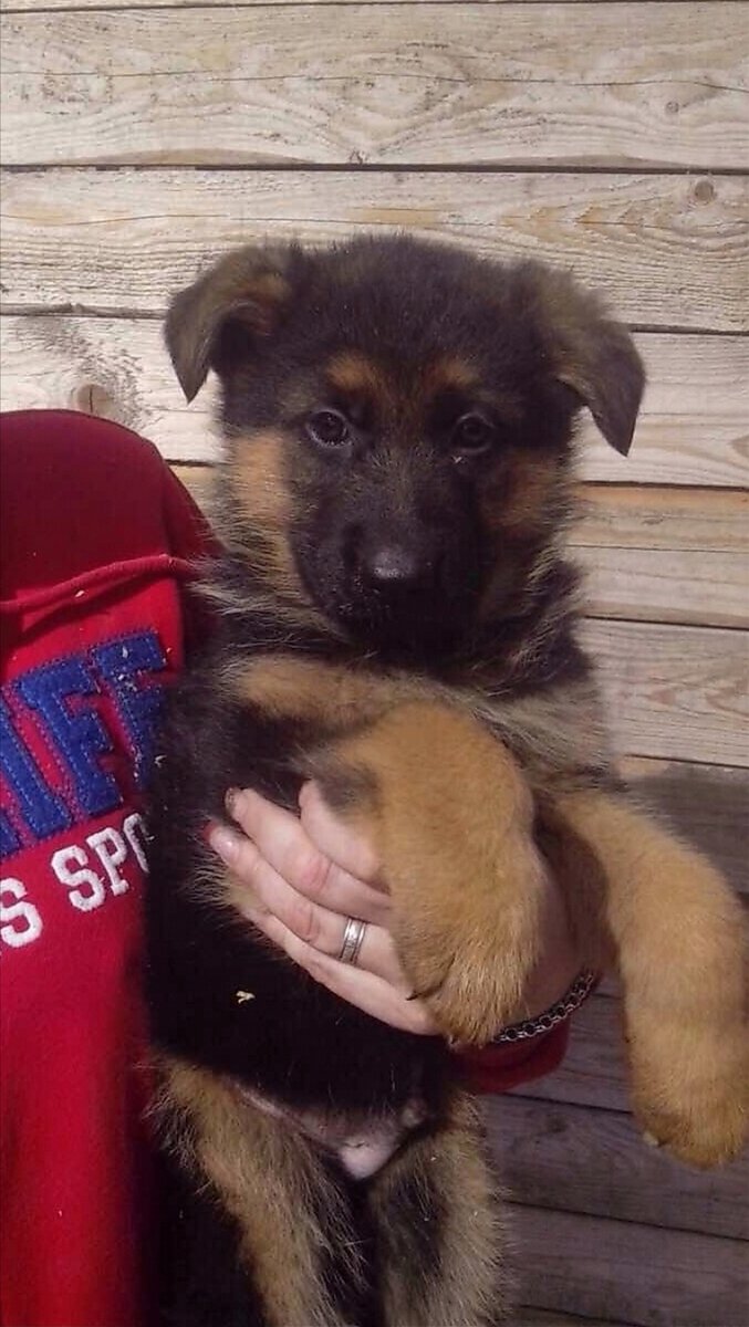 Фото из личного архива. Первый день дома. 