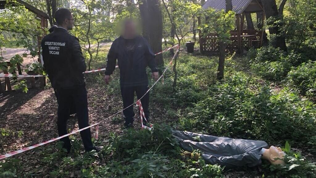     О том, какой приговор вынесли ставропольцу за смерть знакомого, рассказали в краевом следкоме.