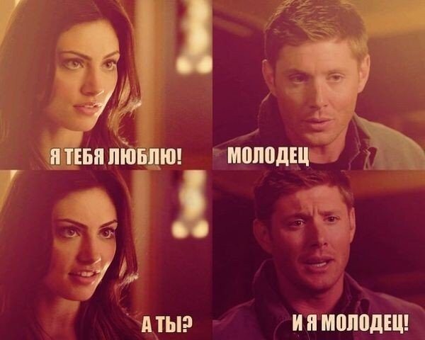 Изображение взято из открытых источников Яндекс Картинки