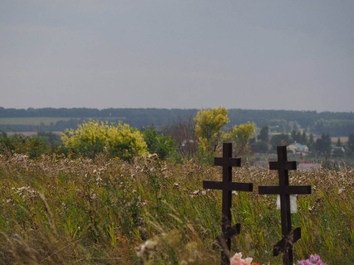 Деревня Погост Загородский