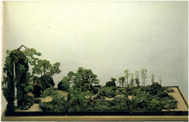 Источник: https://ibonsaiclub.forumotion.com/t11429-tray-landscape-giant-saikei