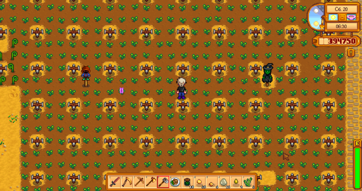  Stardew Valley      StopGame