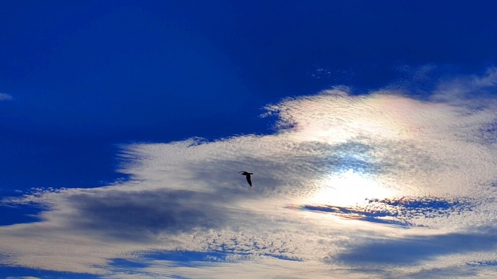     За посещение вулкана Гирвас незаконно взимают плату, в поселке Эссойла местный житель мешает работать пожарным, синоптики рассказали о погоде на выходные — о чем говорили в эту среду.