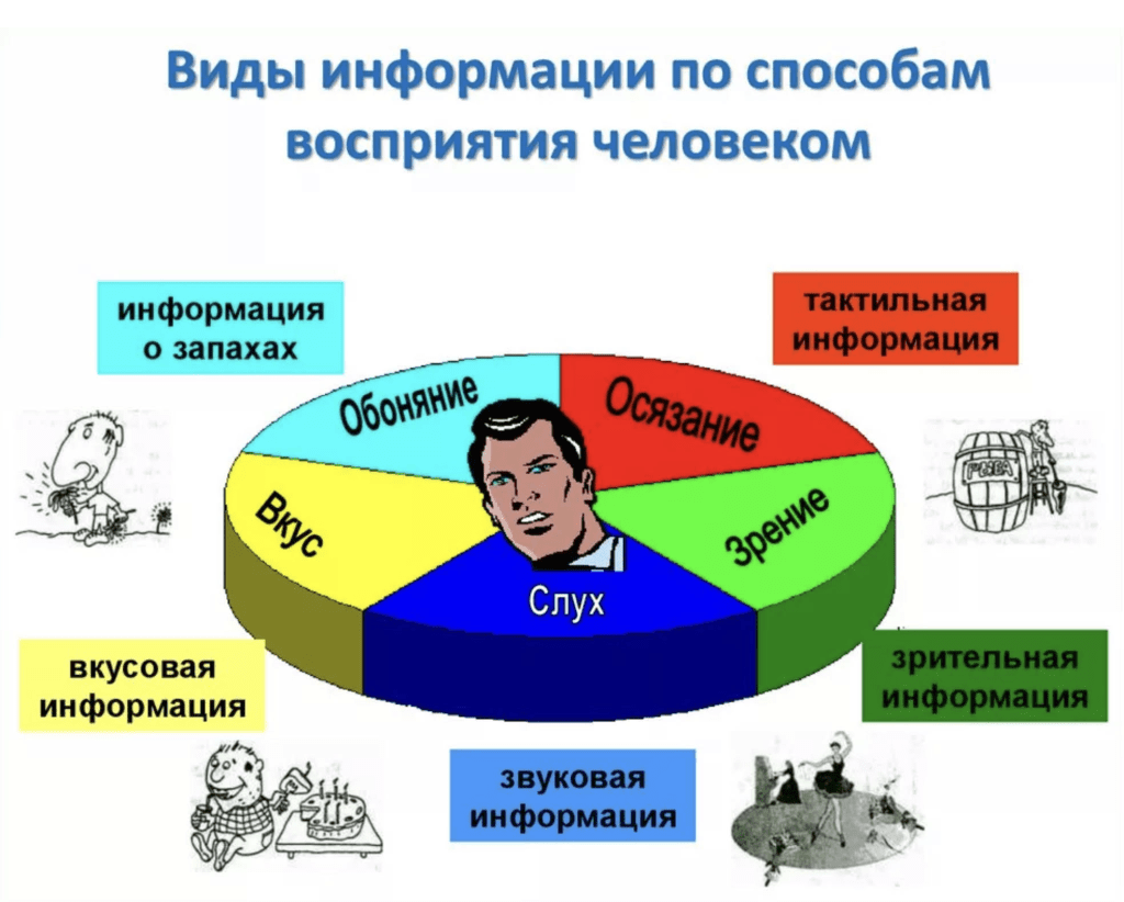 Продумайте какими графическими образами можно. Виды информации. Информация и ее виды. Восприятие информации в информатике. Способы получения информации человеком Информатика.