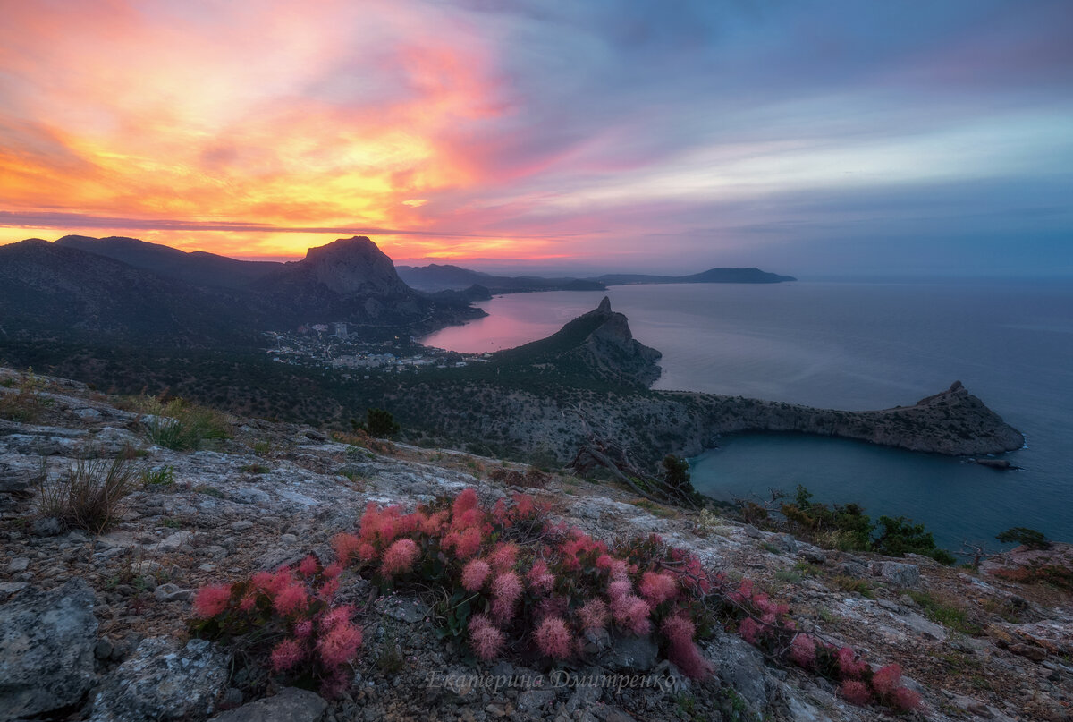 фотография через ссылку