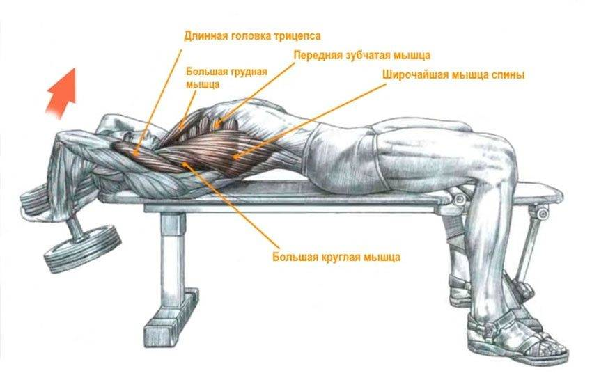 Скручивания туловища у верхнего блока