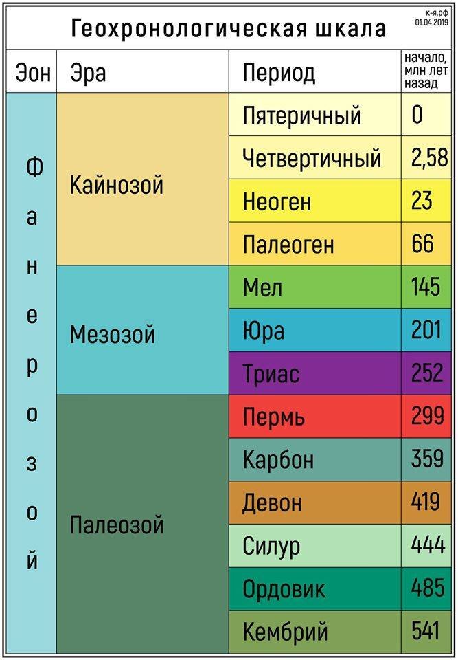 Геохронологическая таблица по биологии презентация