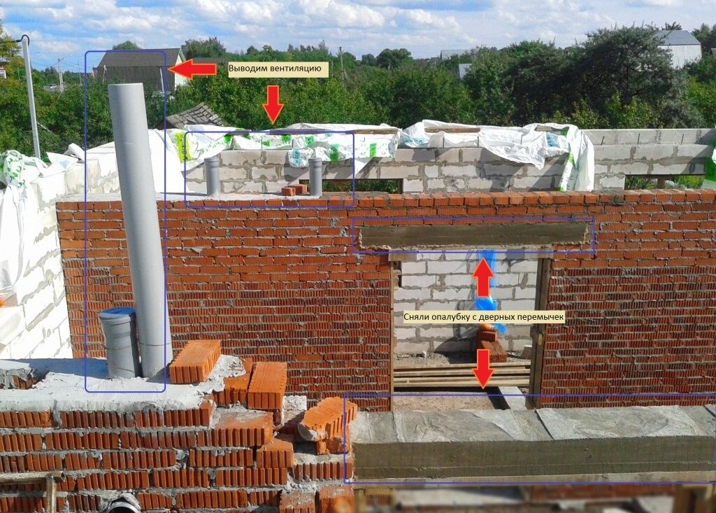 Фото из домашнего архива. Лето 2016 г. Размещение фото без согласия автора - запрещено