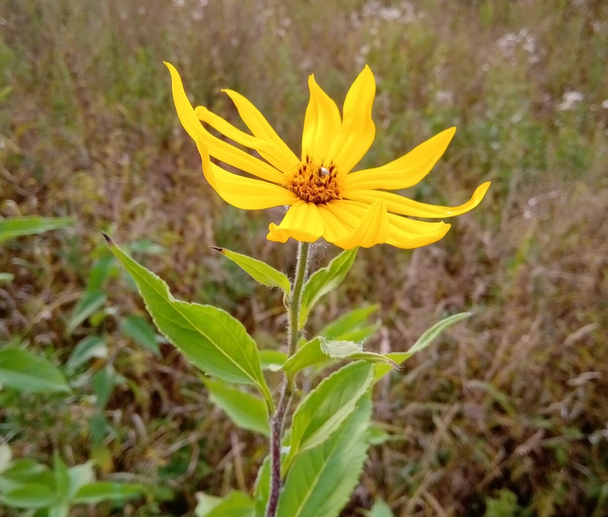 Фотография из личного архива