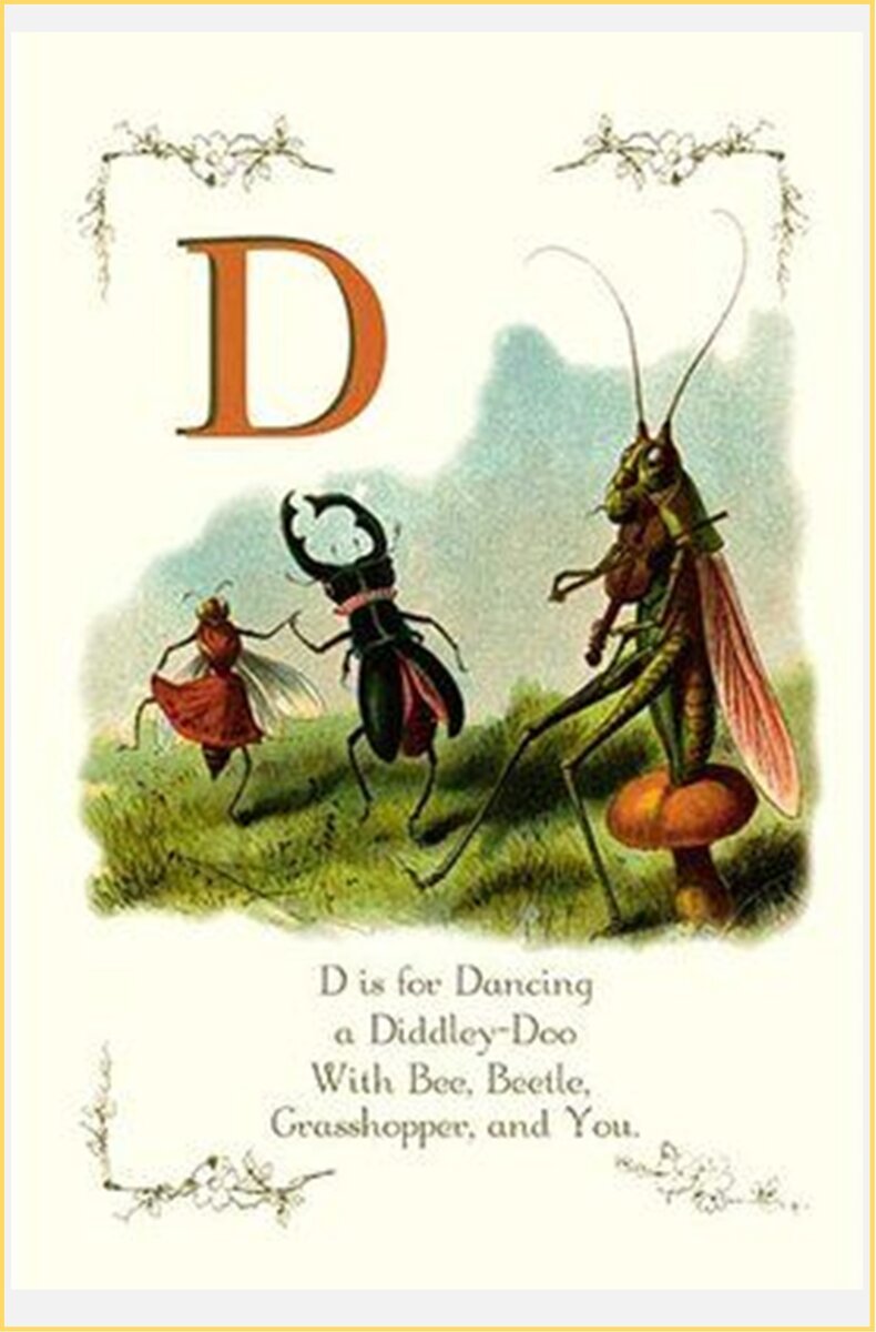 D is for.