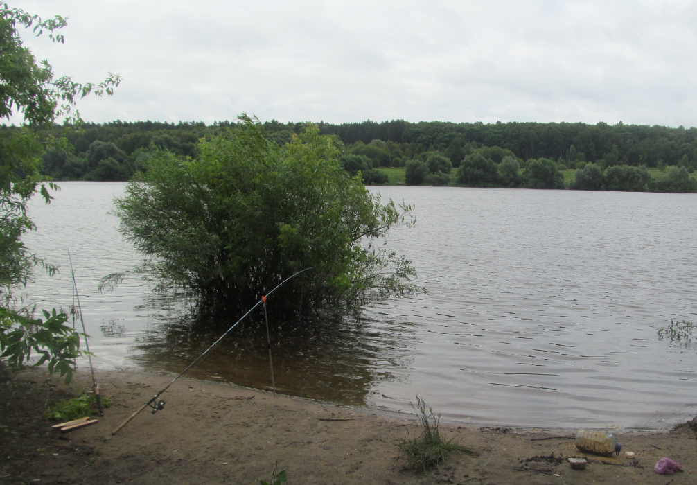 Дали Окские. Листайте дальше. 