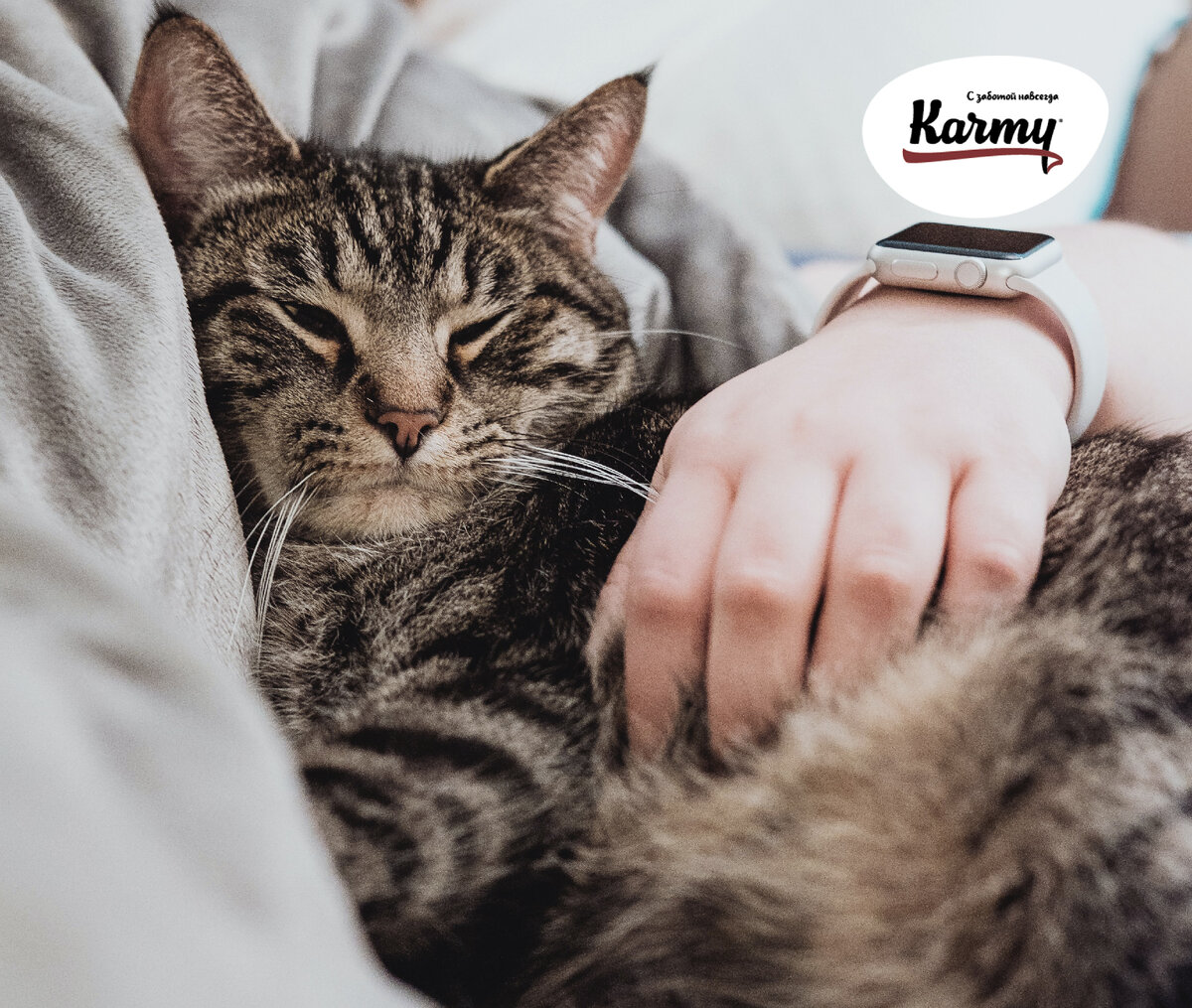 Авторское изображение с использованием картинки с фотостока "Unsplash"