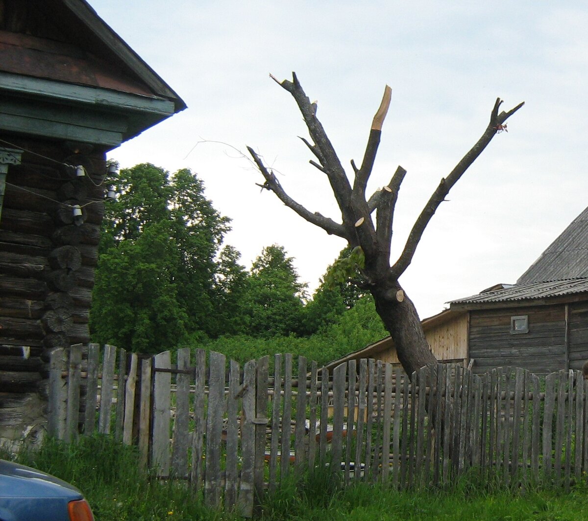 Народный фронт в Кузбассе